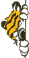 Hobbes-edge